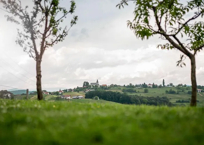 House Aronija Šmarje pri Jelšah