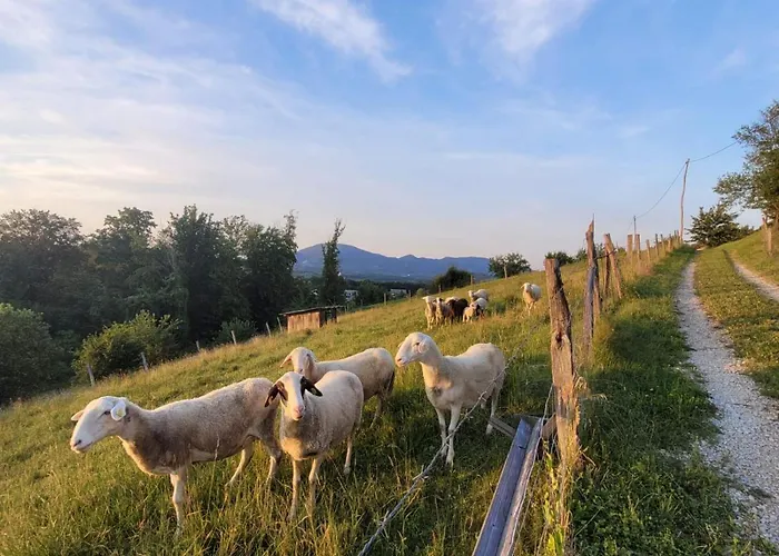 別荘 House Aronija Šmarje pri Jelšah